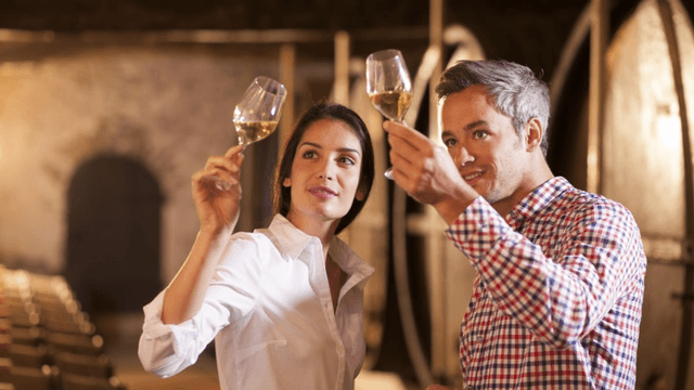 Initiation à la dégustation 